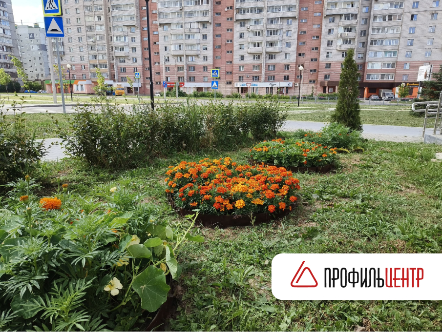 ПрофильЦентр участвует в благоустройстве Череповца! ПрофильЦентр участвует в благоустройстве Череповца!